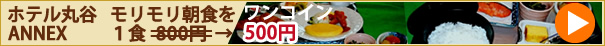 �ۥƥ��ë�α��ץ��